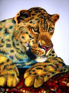 Colourful drawing of a leopard's head and paws