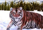 A Siberian tiger set against a wintry wild landscape