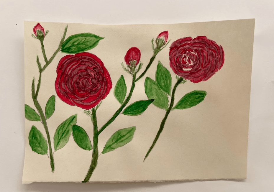 A variety of red roses and rosebuds with the green stem and leaves. 